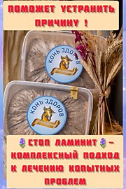 СтопЛаминит, 1 кг