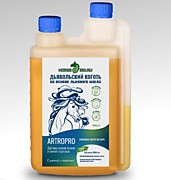 Дьявольский коготь BioLiq Active, 1000 мл
